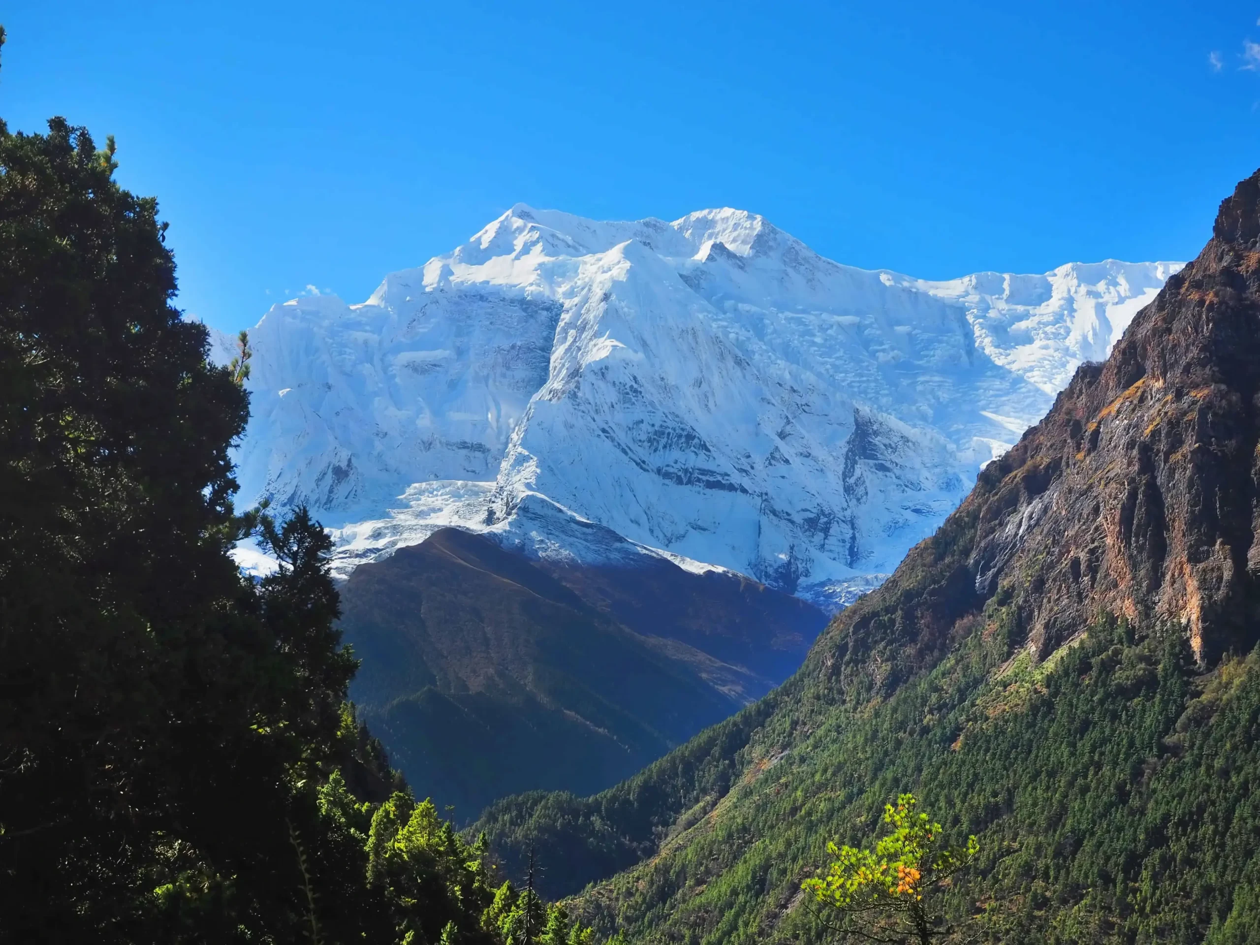 Manaslu circuit trek best time